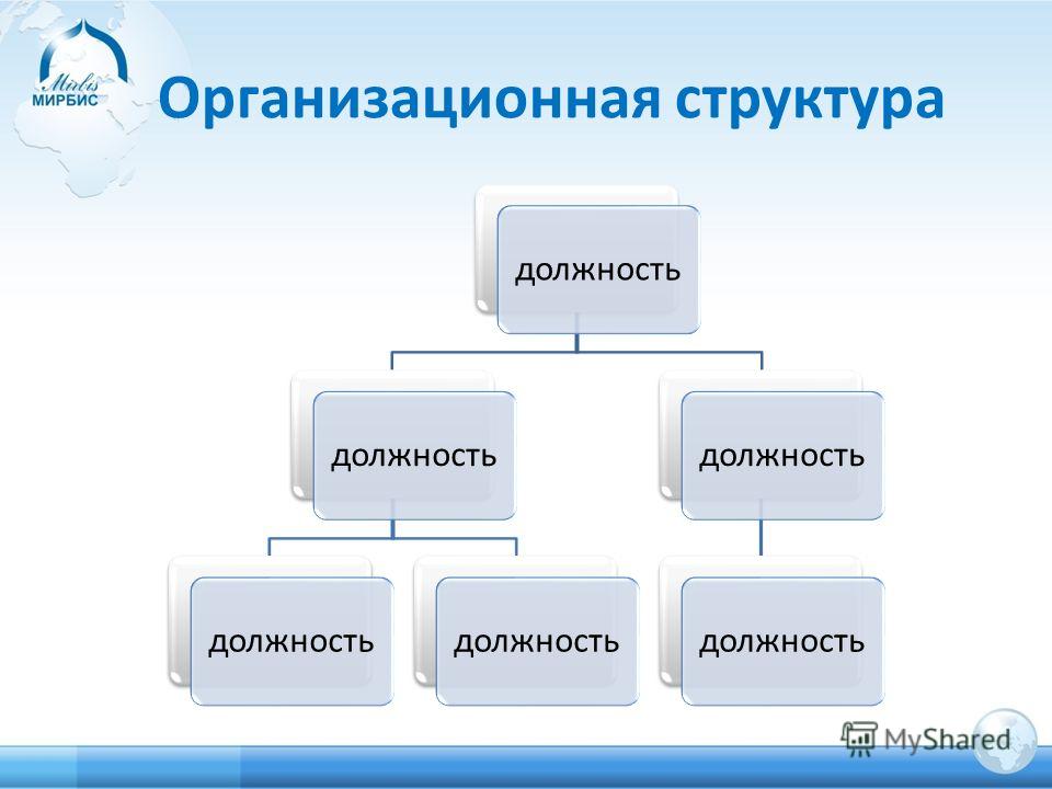 Организационная структура должность