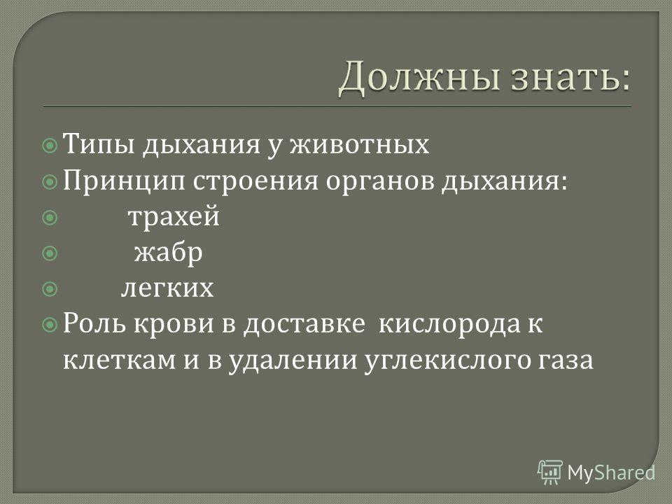 Биология 6 класс тема дыхание