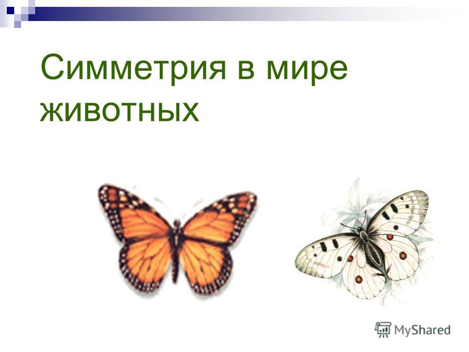 Ограждение из профильных труб своими руками 51 Ограждение из профильных труб своими руками 36