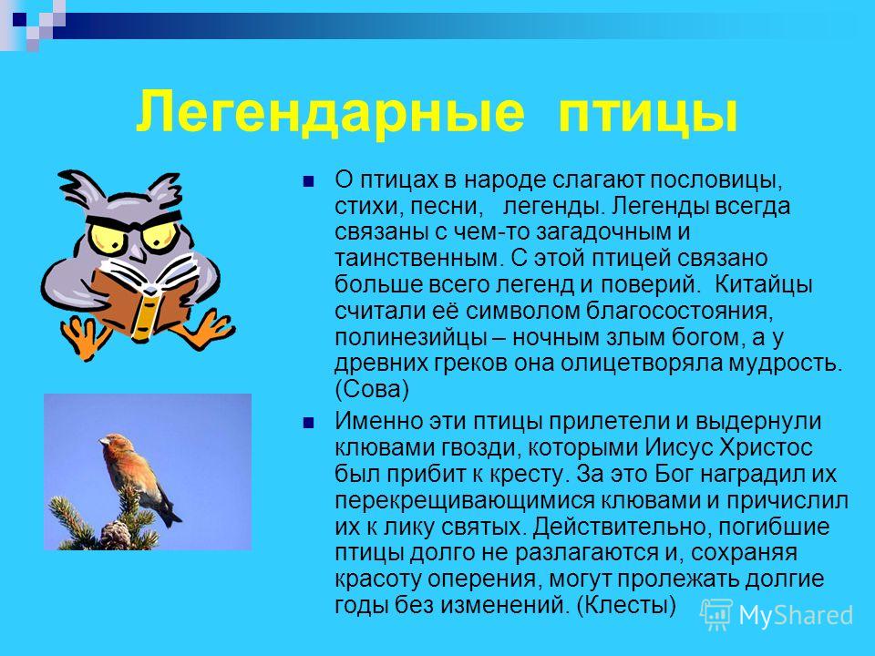 Легенды связанные с птицами Легенды связанные с птицами