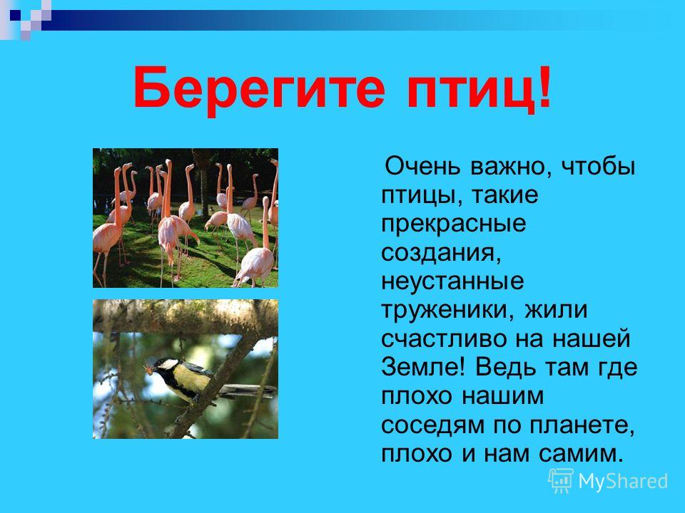 Главная Bambini ГЛАВА 4 ЗАБОЛЕВАНИЯ ГОРТАНИ, ТРАХЕИЩЕВОДА