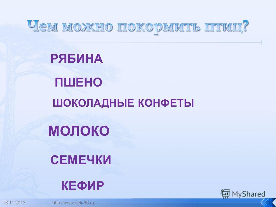 арбузные семечки от глистов рецепт арбузные семечки от глистов рецепт