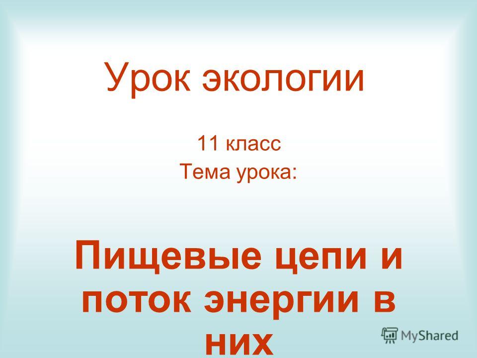 травы от паразитов в глазах травы от паразитов в глазах