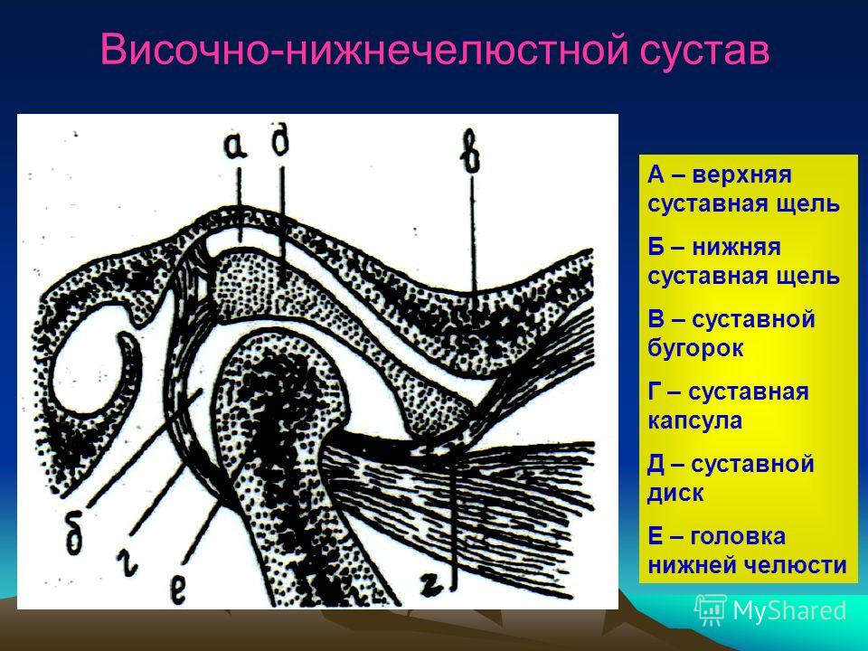 Скат суставного бугорка внчс как восстановить сустав