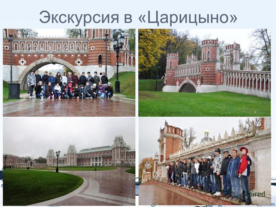 кто курирует школы по царицино