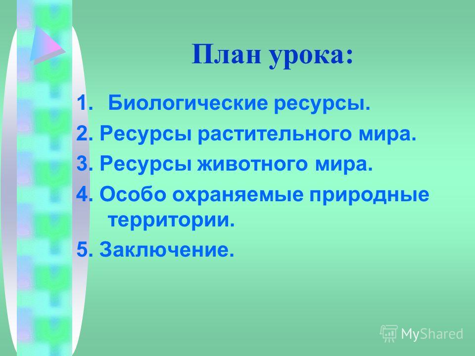 Растительный и животный мир россии урок с презентацией 8 класс