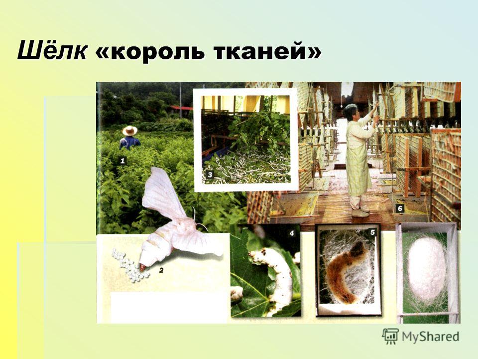 Я Познаю Мир Журнал