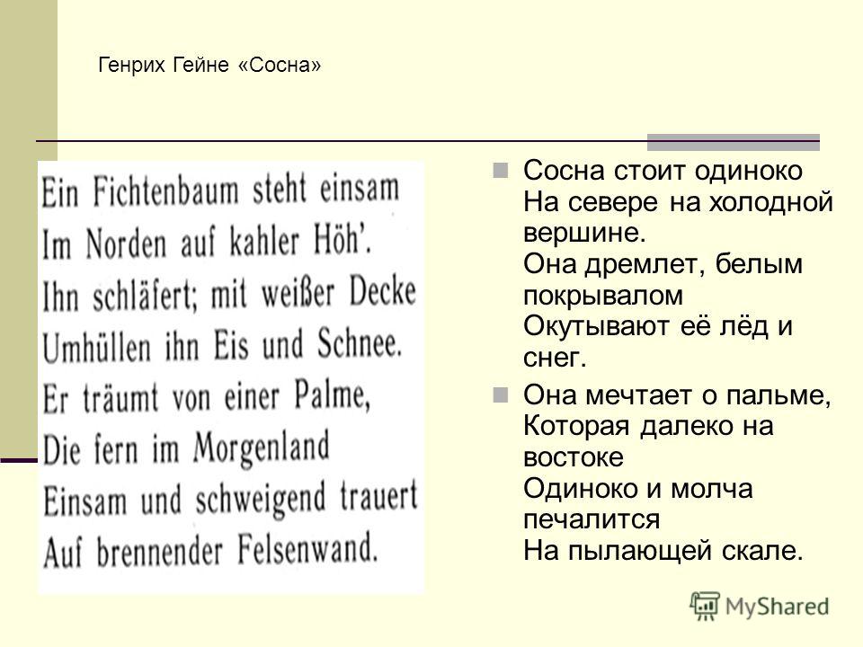 Стих о любви генрих гейне стихи Стих о любви генрих гейне стихи