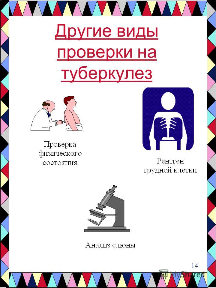 Сумматор 129 Сумматор 559