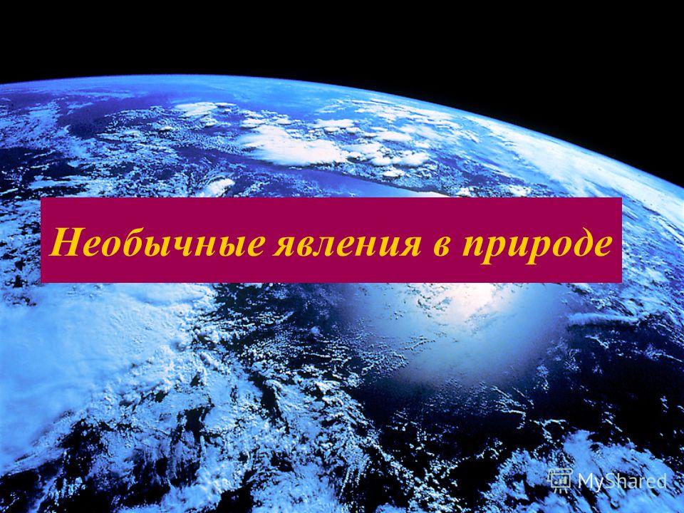 Картинки бурана в природе Картинки бурана в природе