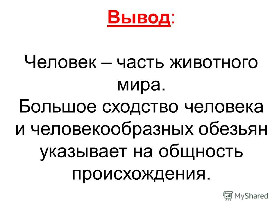 Что делать когда изжога каждый день Что делать когда изжога каждый день