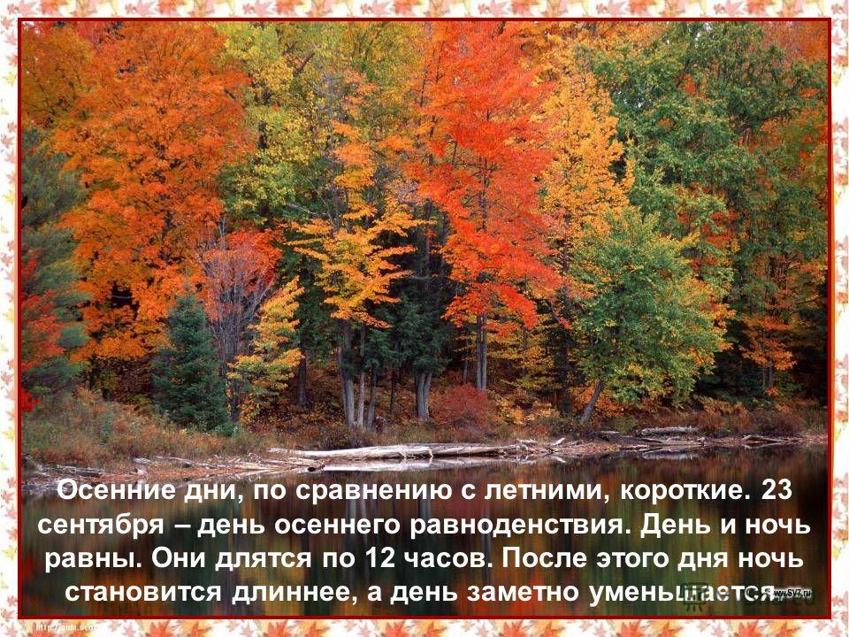 То что связано с осенью То что связано с осенью