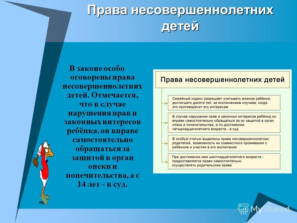 несовершеннолетние и их права в семейном праве будут открываться