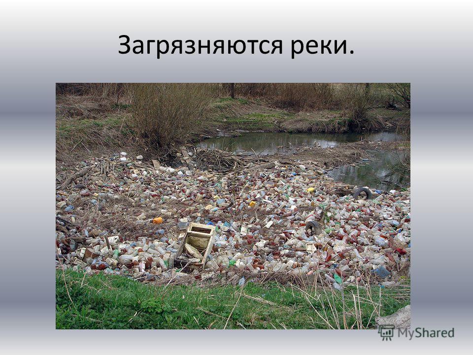 Загрязняются реки.