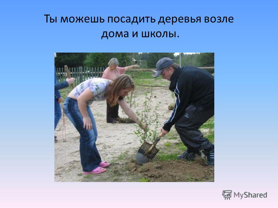 Ты можешь посадить деревья возле дома и школы.