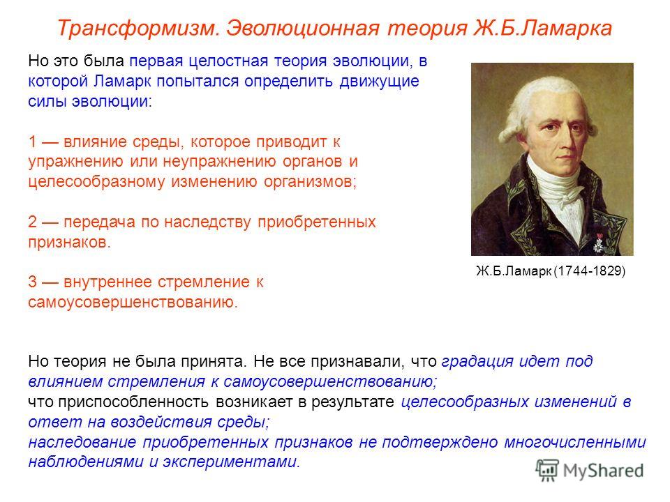 к линней является создателем первой эволюционной теории ВЫБОРУ ТЕРМОБЕЛЬЯ
