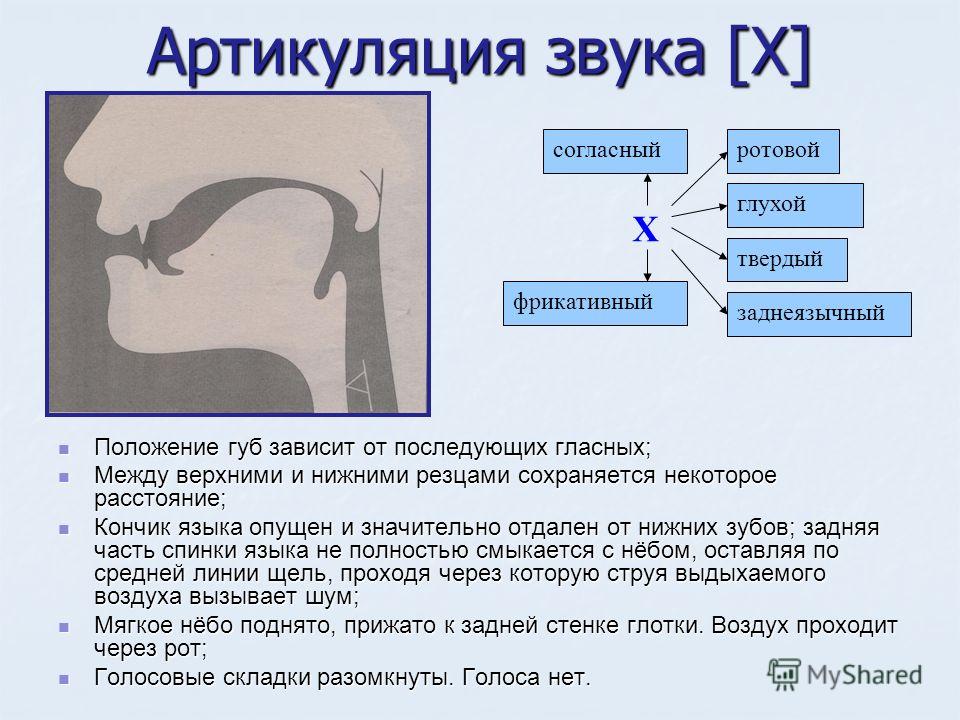 Артикуляция звуков скачать бесплатно