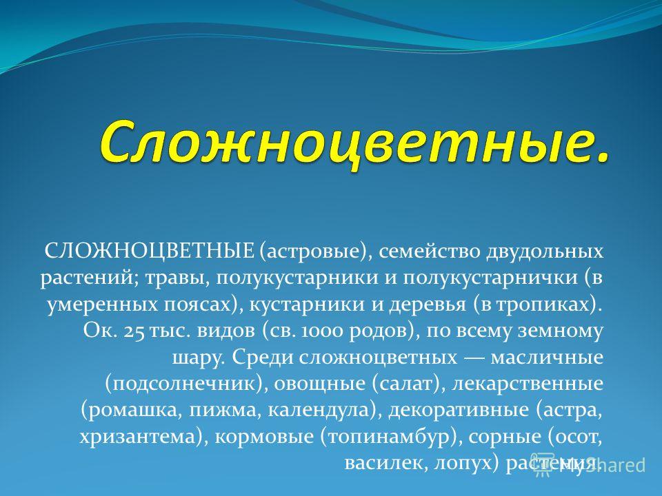 Скачать презентацию по биологии 7 класс на тему сложноцветные