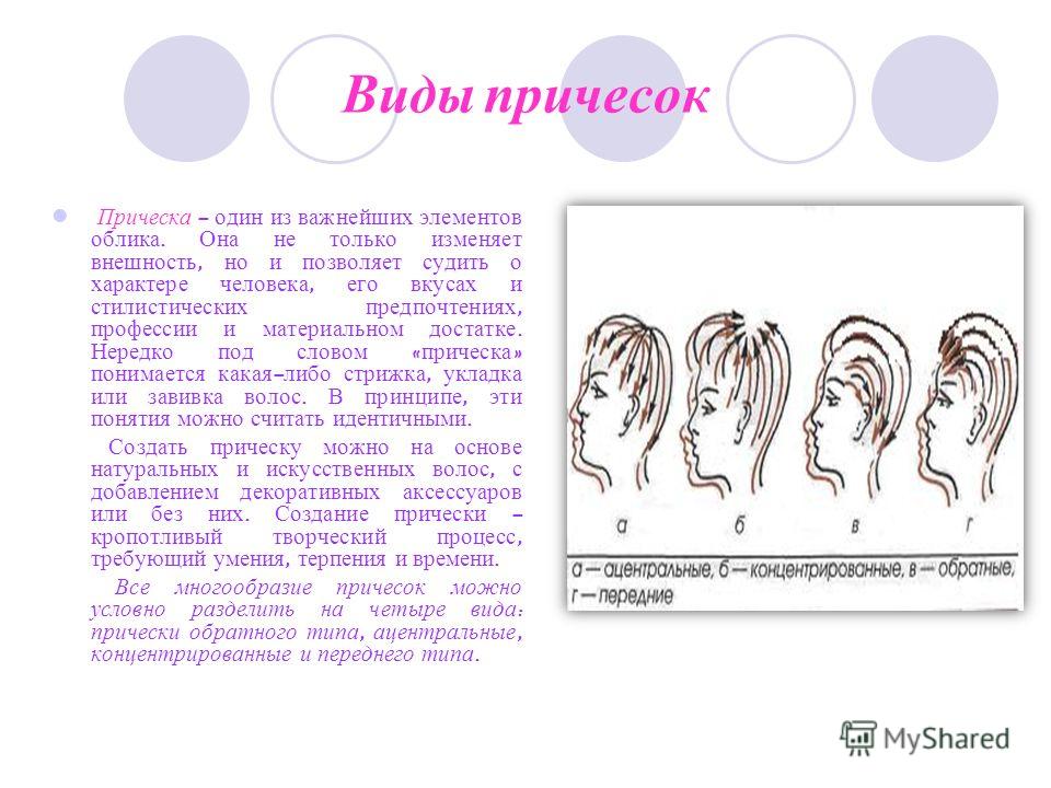 Элементы причесок и их характеристика Элементы причесок и их характеристика