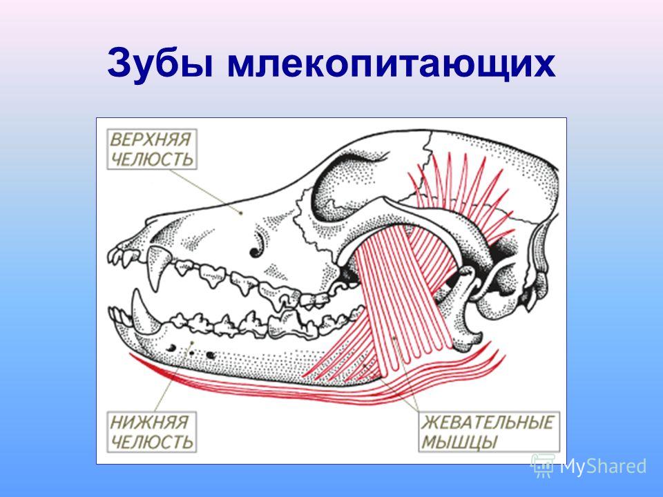 Пластмасс - изготовление изделий из пластика, заказать литье Ошо. Книги онлайн