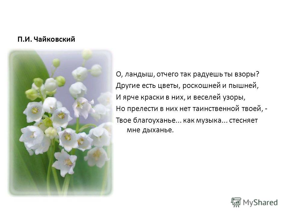 Поздравления с юбилеем заведующей от коллектива Поздравления с юбилеем заведующей от коллектива