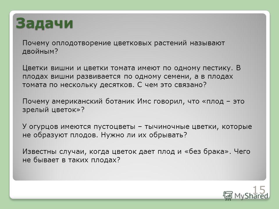 Из чего развивается плод и цветок Из чего развивается плод и цветок