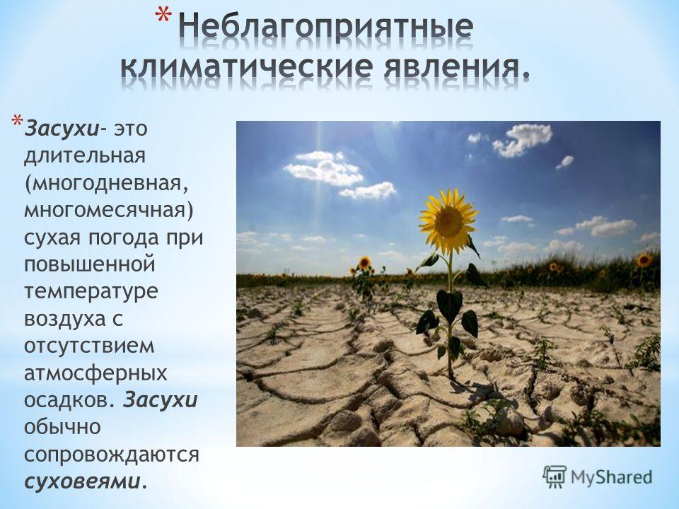 С чем связано полное отсутствие атмосферных осадков в пустыне намиб С чем связано полное отсутствие атмосферных осадков