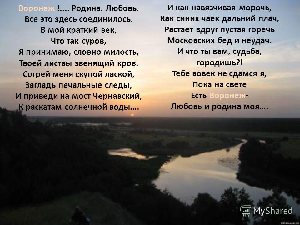 Символы Воронежа
