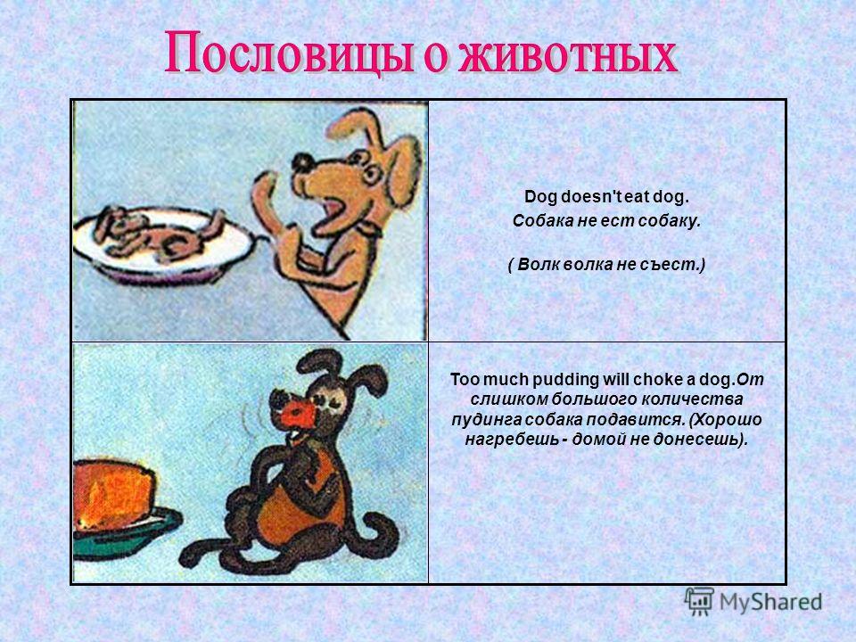 Какие есть пословицы о собаке Какие есть пословицы о собаке