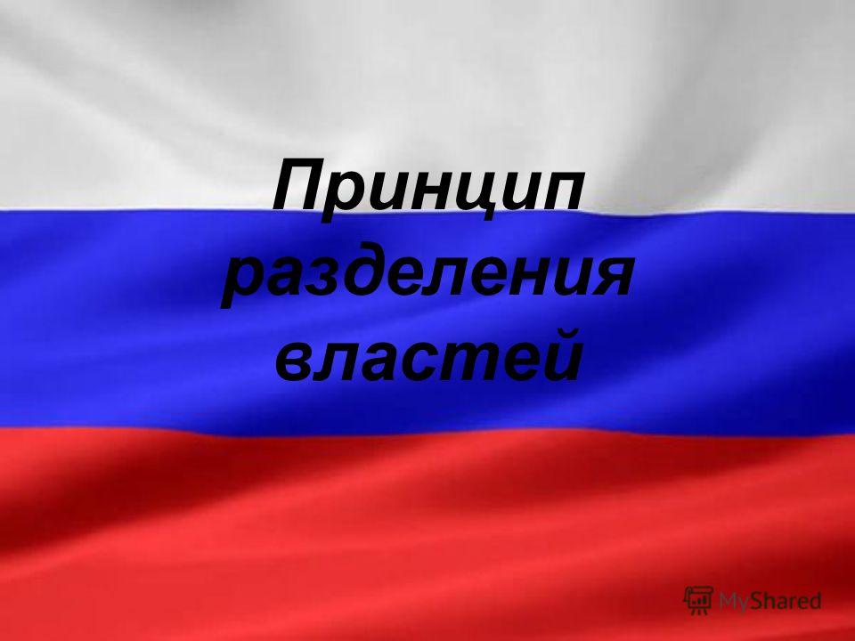 Реферат: Проблемы реализации принципа разделения властей на примере Российской Федерации