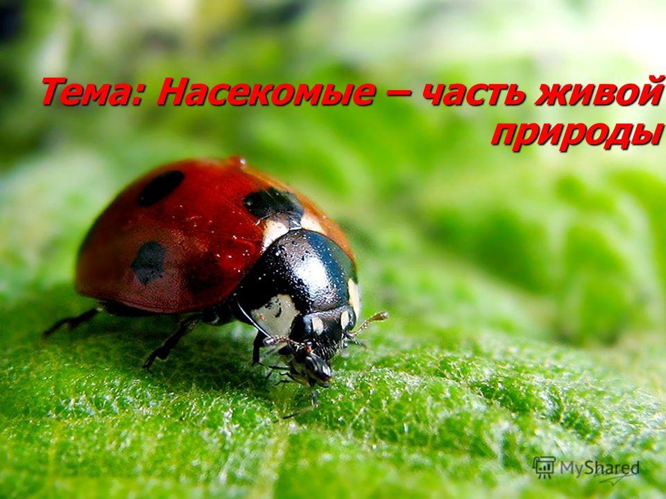 Живые картинки природа и животные Живые картинки природа и животные