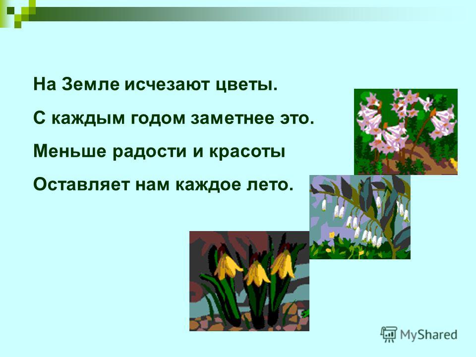 Реферат: Инвазионные виды растений Ярославской области Реферат: Инвазионные виды растений Ярославской области