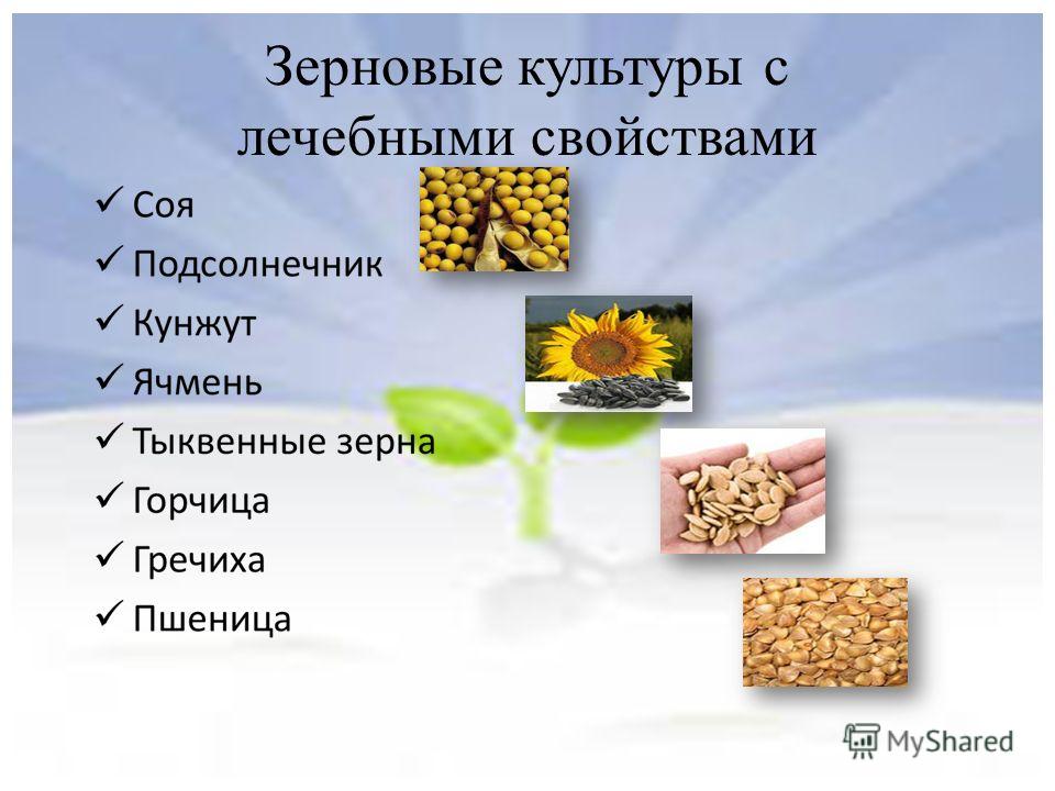 Блюда из цветной капусты и в духовке запечь рецепты