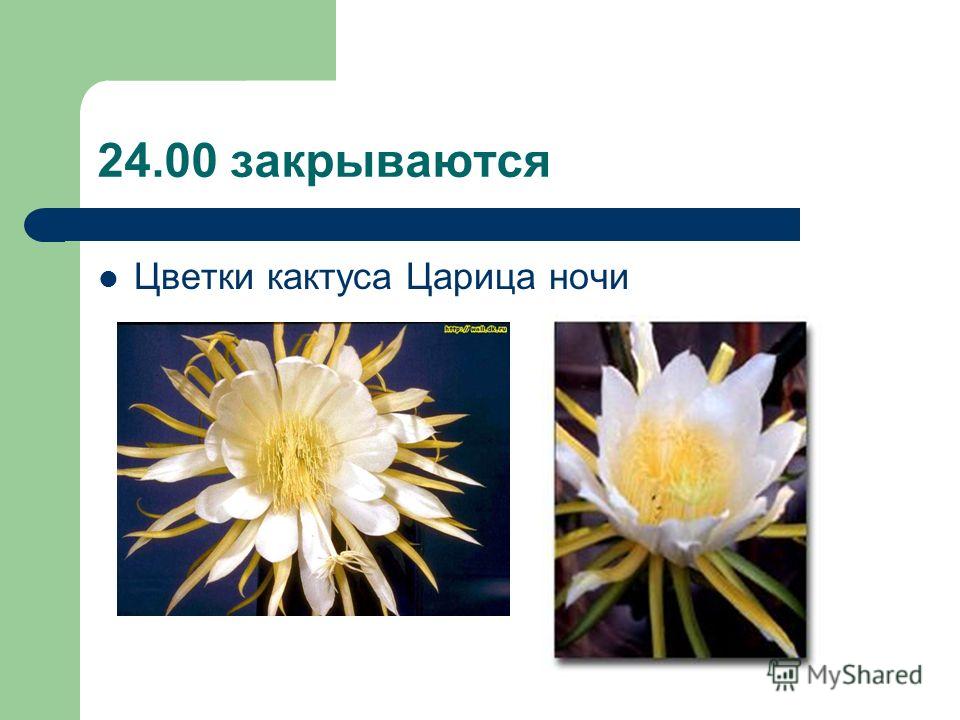 Погода на 30 июня чебоксары