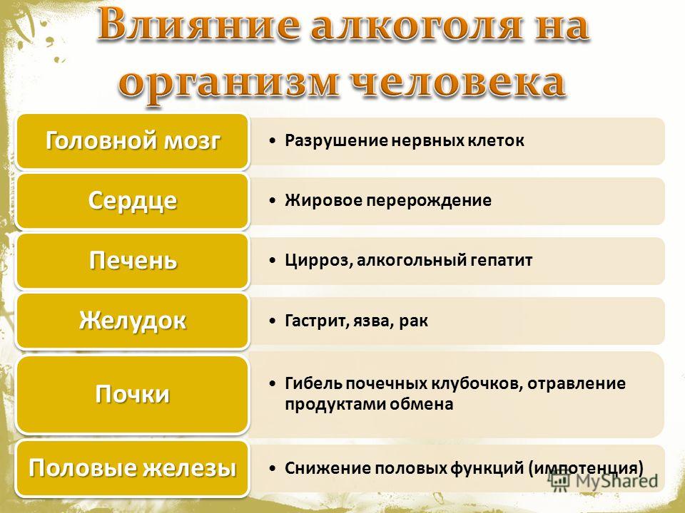 плоские черви у человека лечение плоские черви у человека лечение