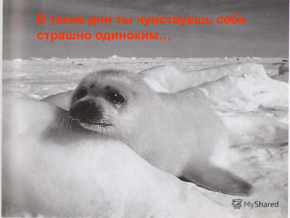 как чувствуешь себя картинки