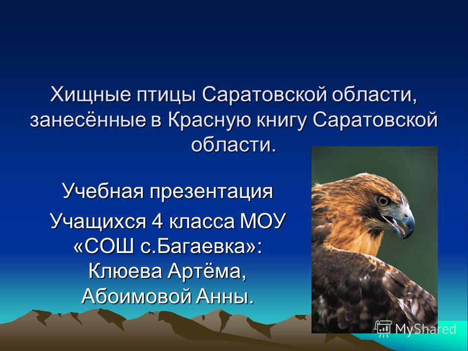Птицы Красной Книги России Презентация