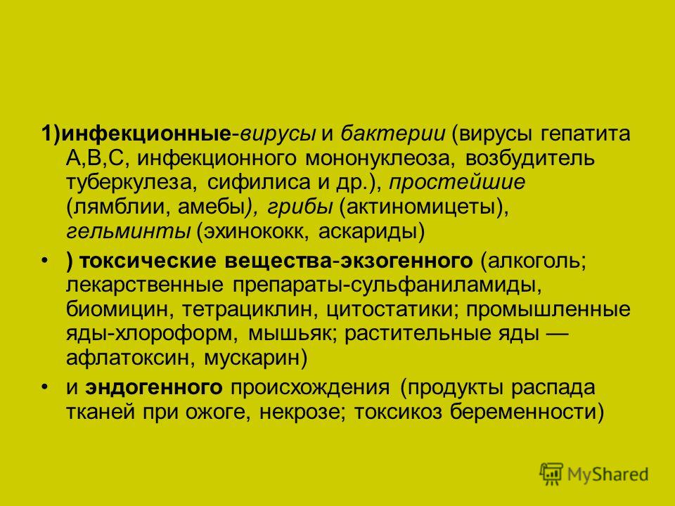 амебы у человека амебы у человека