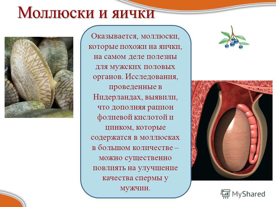 muzhskaya-sperma-polezna-dlya-muzhchin muzhskaya-sperma-polezna-dlya-muzhchin