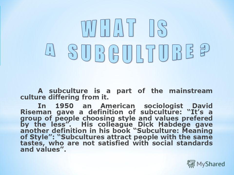 essay about subcultures essay about subcultures