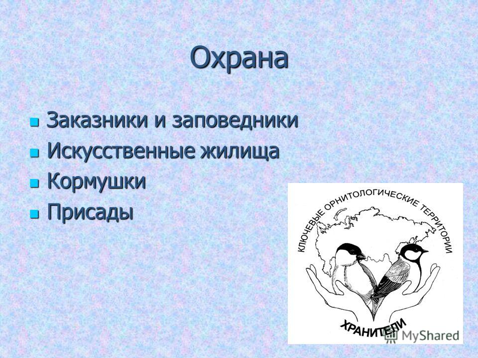 Измерение внутриглазного давления бесконтактным методом
