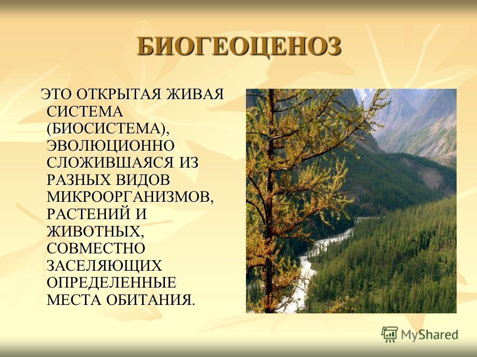 Пономарева Пономарева