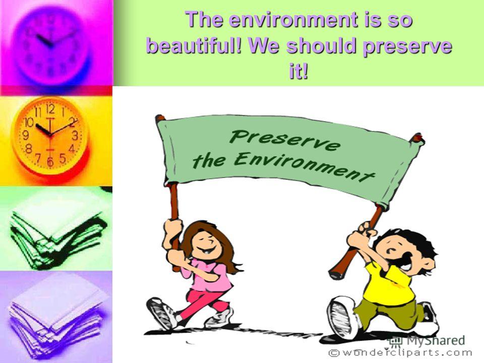 The environment is so beautiful! We should preserve it!
