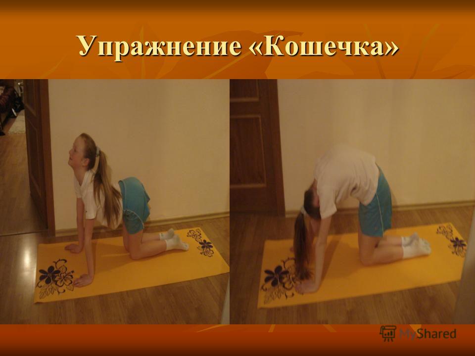 Качание пресса позвоночника Качание пресса позвоночника