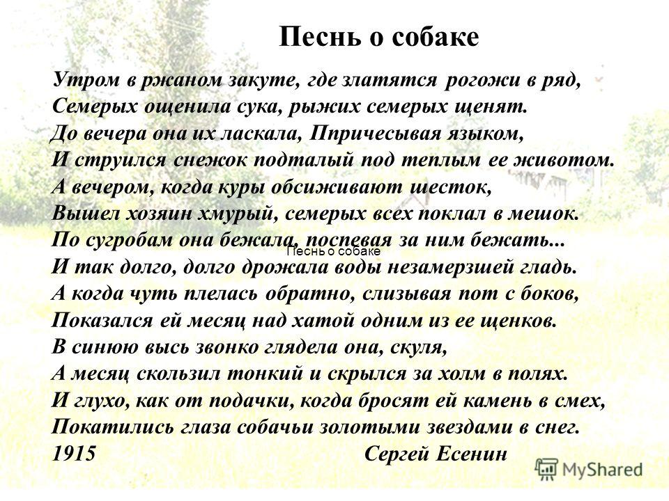 Есенин песнь о собаке стих текст песни Есенин песнь о собаке стих текст песни