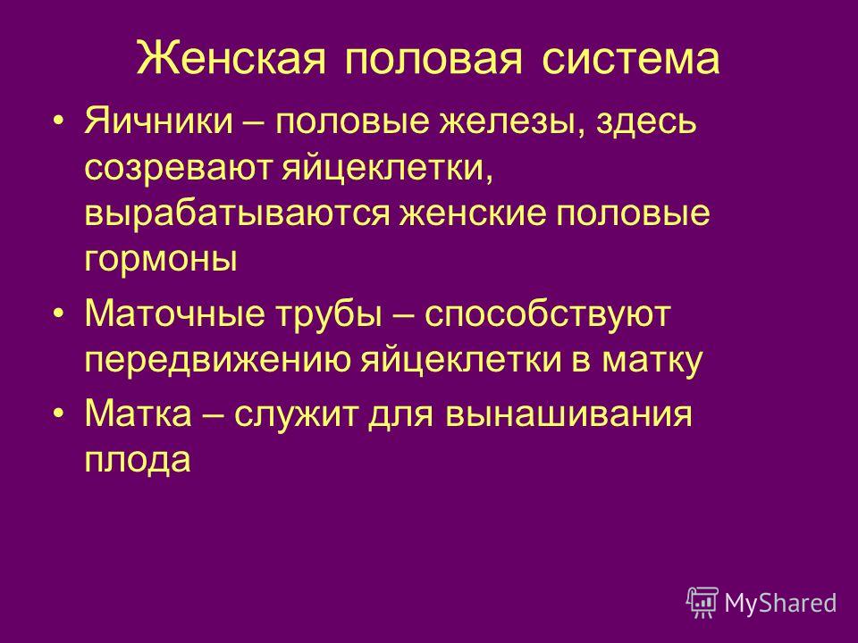 Анал сближает: Анал Смотреть Ролики Бесплатно