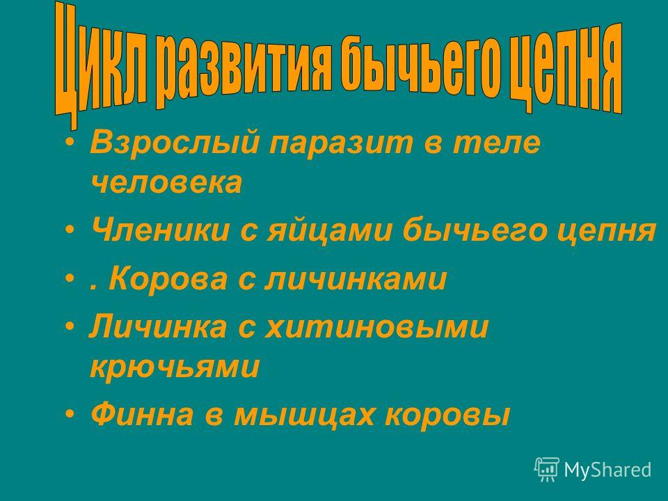 черви в глазах человека от чего черви в глазах человека от чего