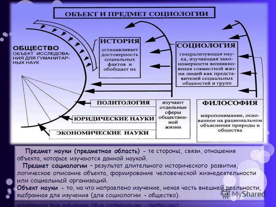 Отношение социологии к другим наукам Отношение социологии к другим наукам