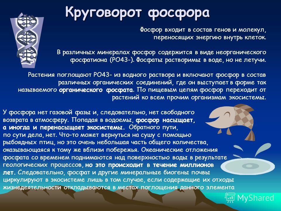 Как сделать новогоднею поделку из бумаги своими руками Как сделать новогоднею поделку из бумаги своими руками