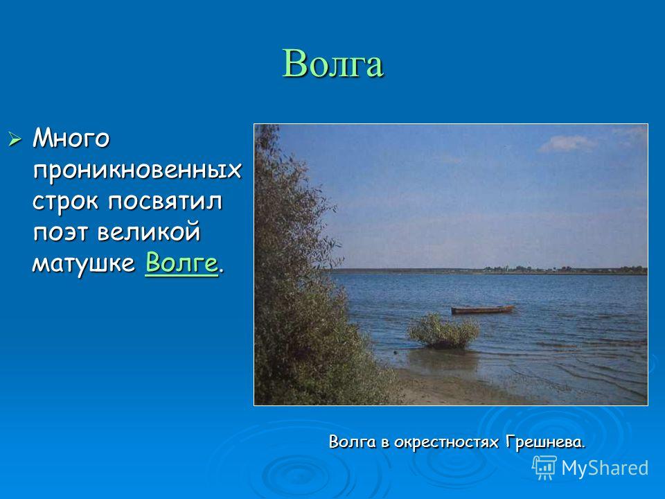 БИБЛЕЙСКИЕ УРОКРЕХПАСЕНИИ АртКонтракт. Всероссийский конкурс : Животные «Красной книги России»